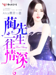 蔺先生，一往