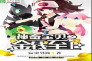 神奇宝贝之至