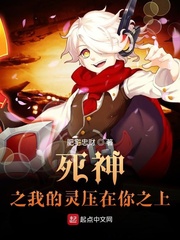 死神之我的灵